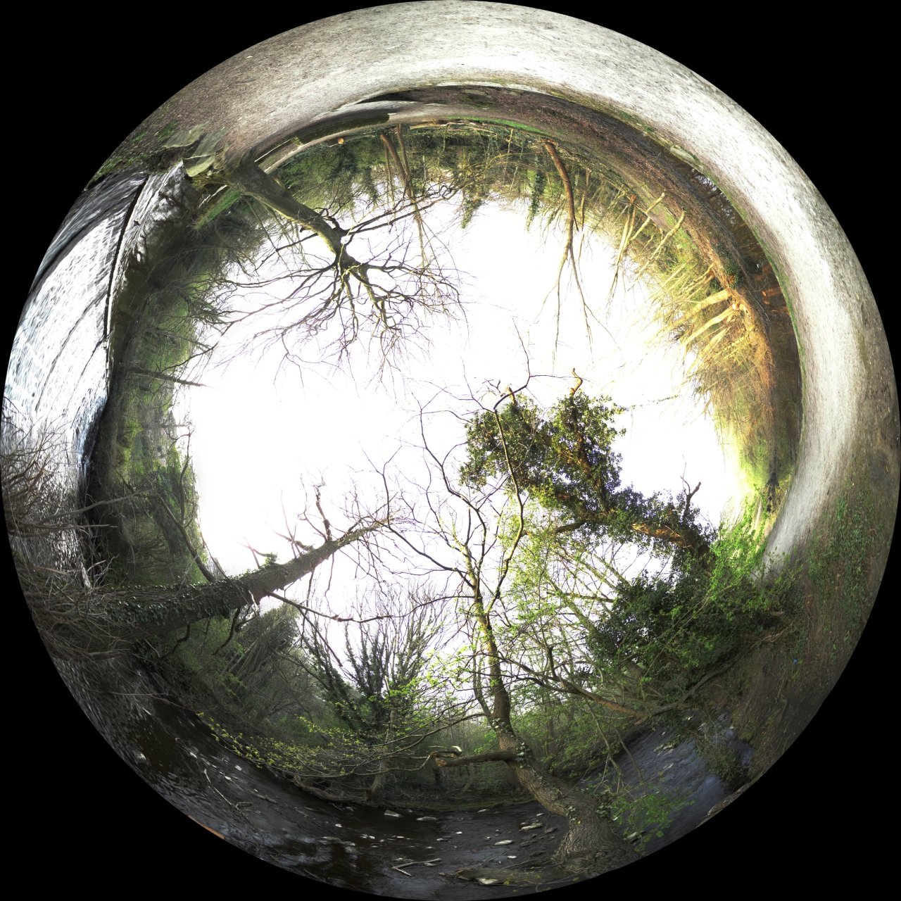 Rivelin Panorama.jpg