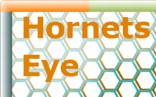 Hornetseye.png