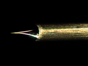 Optical microscope image of tungsten tip