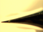 Optical image of tungsten tip (high magnification)