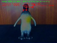 2-D/3 DOF penguin live demo (999 kByte video (https://vision.eng.shu.ac.uk/jan/penguin.avi))