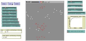 Netlogo simulation of mixed species flocking
