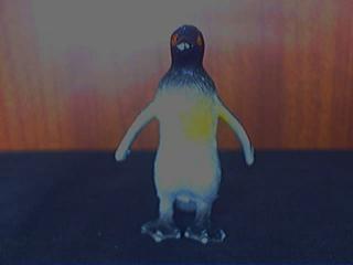 penguin320x240.jpg